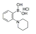 2-(Piperidino)phenylboronic acid HCl